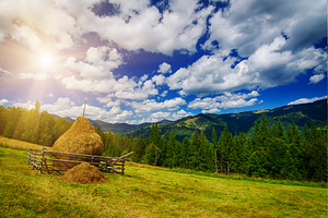 Summer mountain landscape, a Nature Photo by Nature and travel