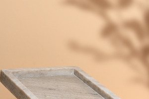 Empty marble rectangular food tray on beige background with shad, a Background Photo by ndanko