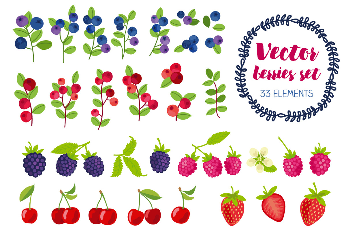 Vector berry patterns, a Decorative Illustration by martynmarin (Photo 2 of 7)