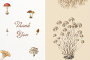 Vintage Mushroom Illustrations, a Decorative Illustration by youtoview (Thumbnail 13 of 13)