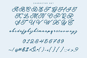 Bardone - Elegant Script Font, a Script Font by Sealoung (Thumbnail 9 of 9)