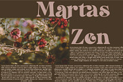 Dakosta | Retro Serif Typeface, a Serif Font by MchCrafter (Thumbnail 10 of 15)