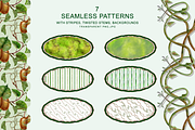 KIWI PATTERNS, botanical watercolor, a Decorative Illustration by EL_SUHOVA (Thumbnail 10 of 13)