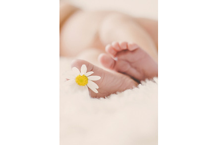 Newborn baby feet with chamomile, a Person Photo by yanadjana