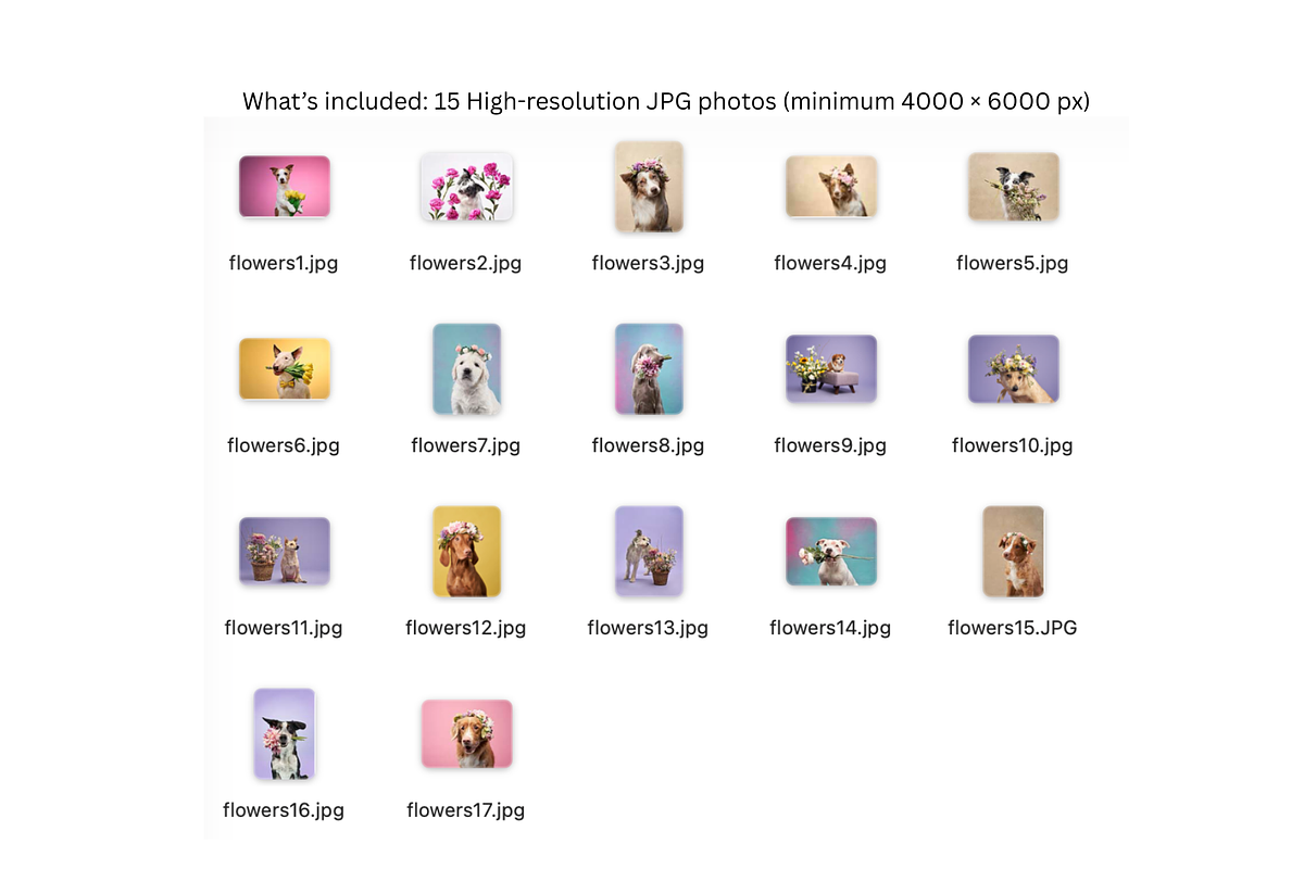 Spring Dogs Floral Photo Pack, an Animal Photo by Animalistica (Photo 4 of 4)