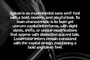 Gakori - Modern Sans, a Sans Serif Font by Boril Std (Thumbnail 7 of 10)