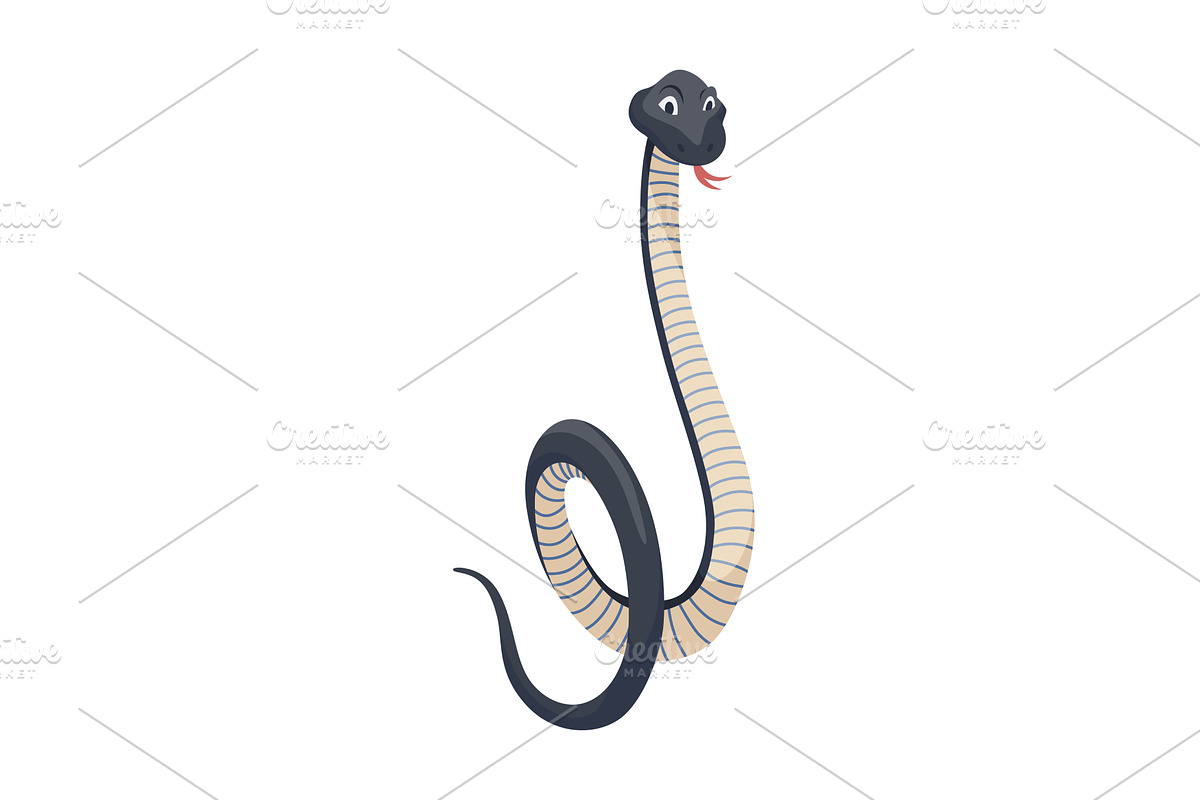 Cartoon color snake. Cute, an Animal Illustration by Things for designers