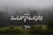 WildFlora - Playful Botanical Font, a Handwritten Font by BilberryCreates (Thumbnail 11 of 12)