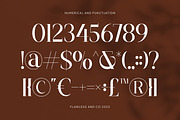 Maglenz - Serif Family Font, a Serif Font by Flawless And Co (Thumbnail 8 of 10)