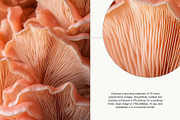70 Minimalist Texture | Stock Images, a Nature Photo by Vermeulen Design Studio (Thumbnail 5 of 5)