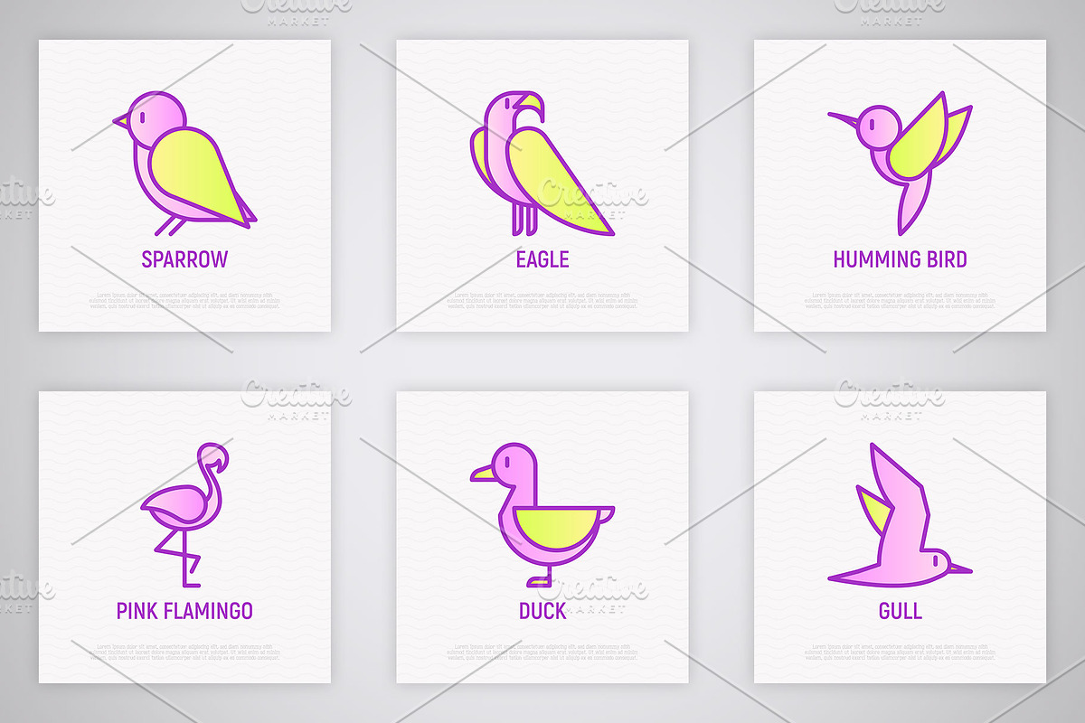 Birds | 16 Thin Line Icons Set, an Outline Icon by Alex Blogoodf (Photo 5 of 7)