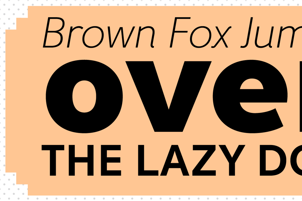 Fox Sans Pro, a Sans Serif Font by TipografiaRamis (Photo 2 of 10)