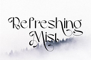 Vilergan Serif Font, a Serif Font by Typegoals Studio (Thumbnail 2 of 9)