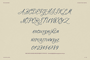 Cocktail Hour, a Handwritten Font by PeachCreme (Thumbnail 17 of 18)