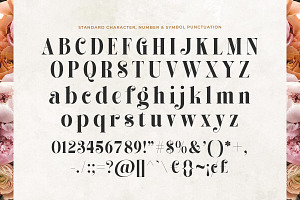 Alissha Bright - Modern Serif