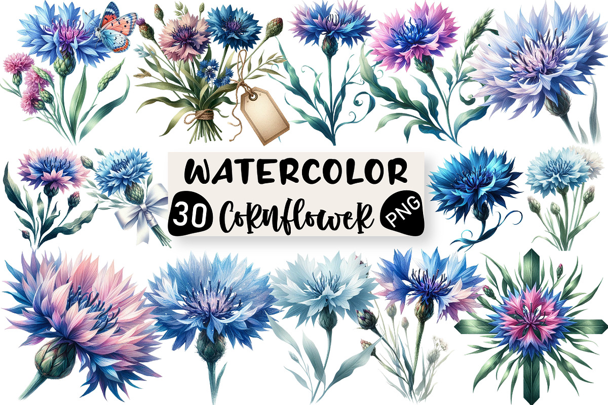 Watercolor Cornflower Clipart, an Illustration by Black Bird Studio (Photo 1 of 6)