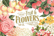 MASSIVE Vintage Fruit and Flowers, an Object Graphic by Eclectic Anthology (Thumbnail 1 of 12)