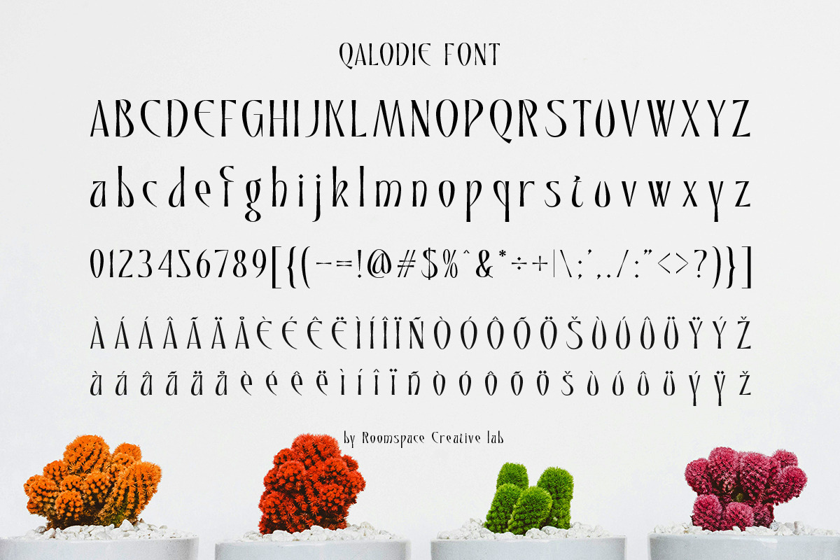 Qalodie - Elegant Modern Aesthetic, a Serif Font by roomspace creative lab (Photo 13 of 13)