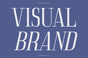 Acelon Distort, a Serif Font by Craft Supply Co. (Thumbnail 3 of 8)