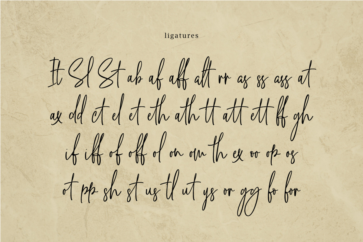 Stamford Bridge Script preview 7