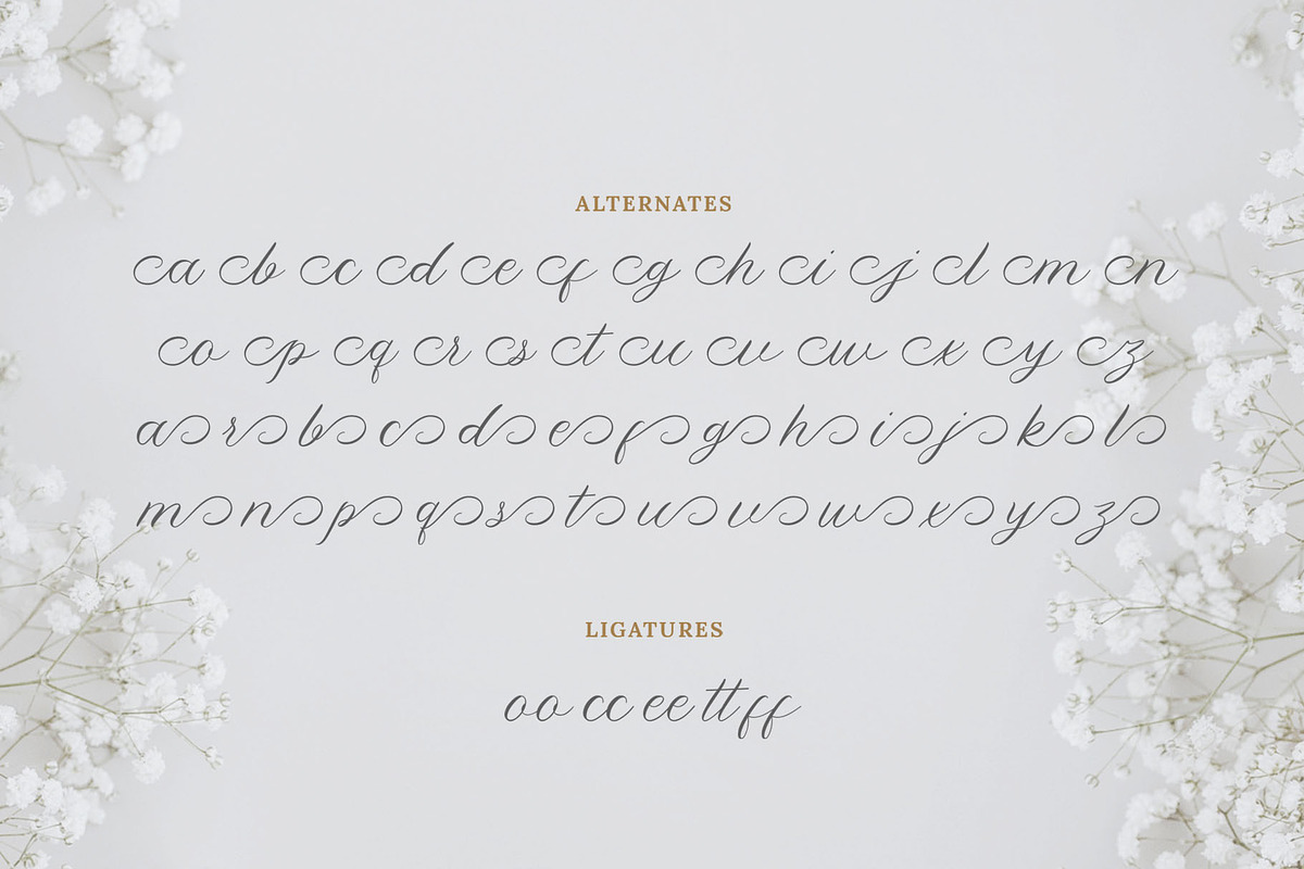 Yolitica |modern handwritten, a Script Font by ToniStudio (Photo 10 of 11)