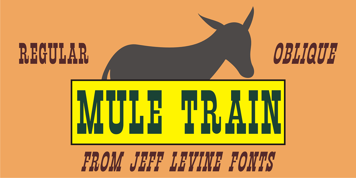 Mule Train JNL, a Slab Serif Font by Jeff Levine Fonts