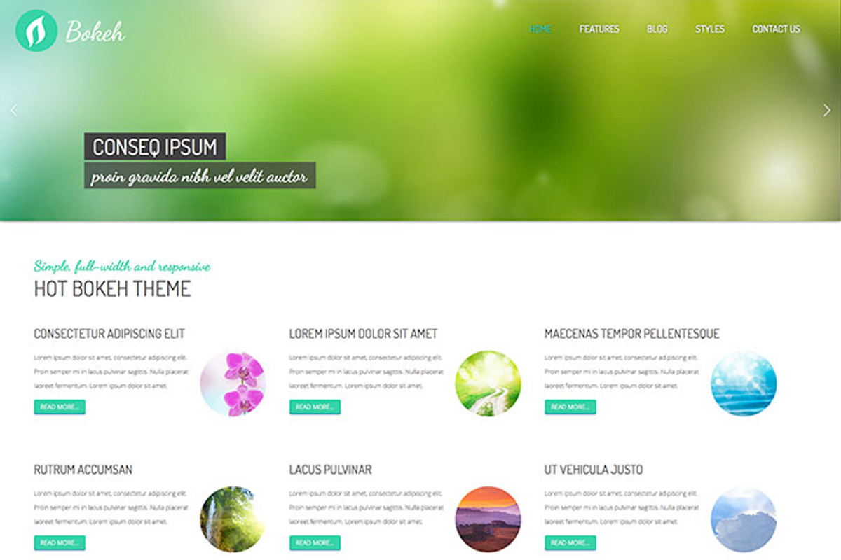 Hot Bokeh, a WordPress Template by hot-themes (Photo 3 of 5)