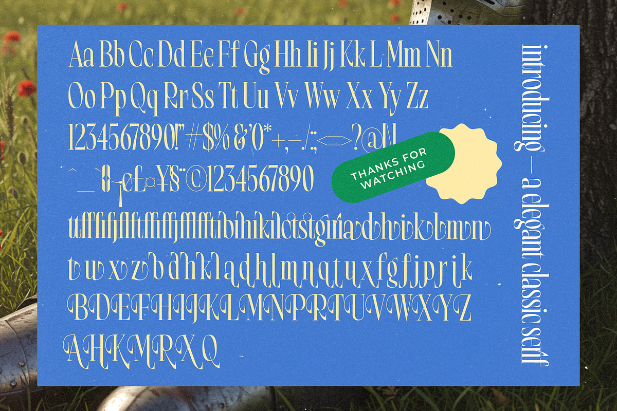 Bright Renew Modern Serif Display, a Serif Font by timelesstype.co (Photo 18 of 20)