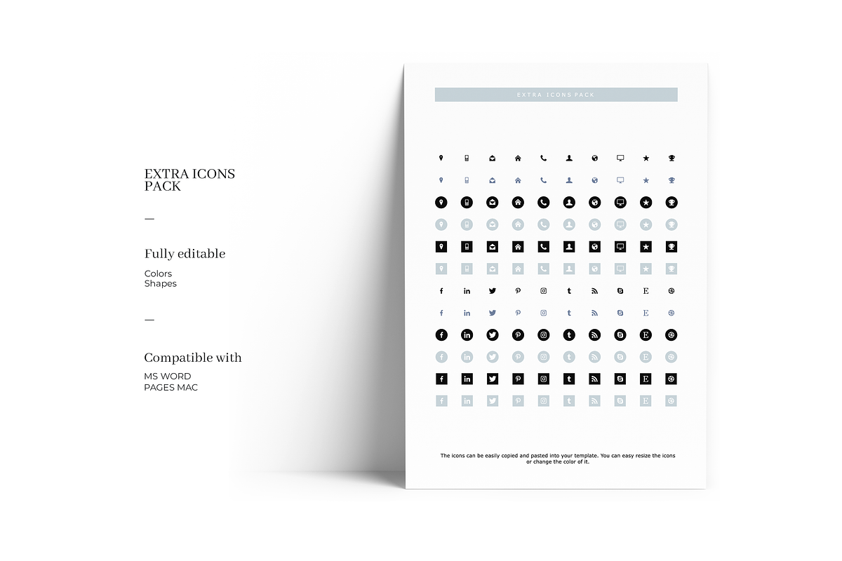 Customizable 5 Page Resume Template, a Resume Template by GraphicFlava (Photo 5 of 8)