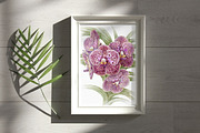 Botanical art watercolor and pencils, a Food Illustration by ViktoriArt (Thumbnail 8 of 16)