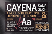 Cayena - Modern Serif, a Serif Font by Astuti Studio (Thumbnail 17 of 25)