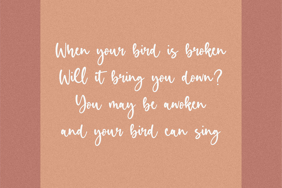 Birdlove - Handwritten Font, a Script Font by Letterative Studio (Photo 2 of 7)