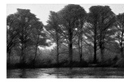 Photos to Mezzotint Photoshop Action preview 4