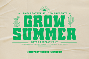 Grow Summer-Retro Display Font