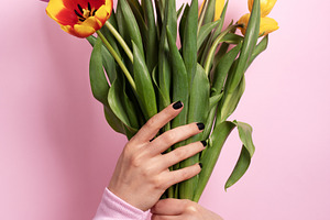 Hands holding a vibrant bouquet of colorful tulips against a pas, a Holiday Photo by Ales Munt