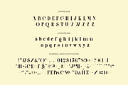 Galery - Elegant Modern Typeface, a Serif Font by suhadidesign (Thumbnail 14 of 15)