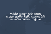 VSOP - elegant serif, 70 fonts, a Serif Font by VP Fonts (Thumbnail 2 of 21)