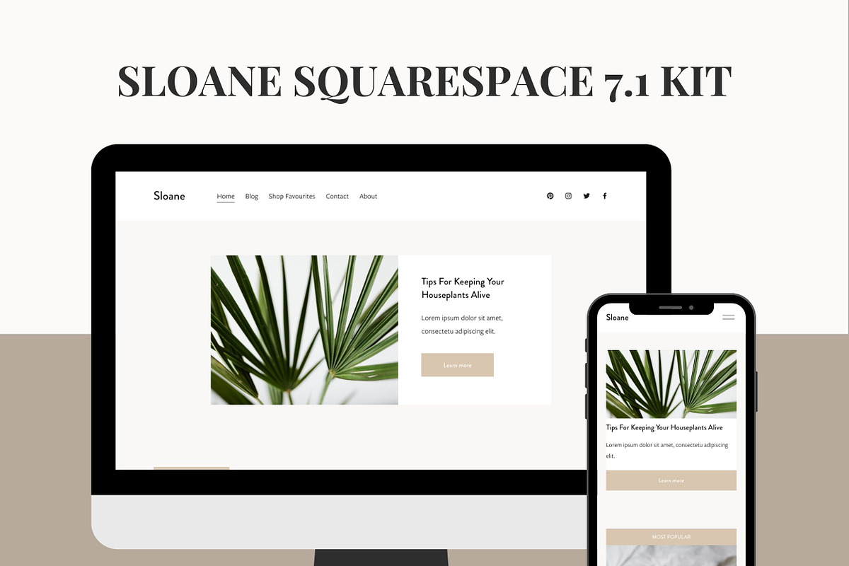 Minimal Squarespace 7.1 Template, a Squarespace Template by Forth and Wild (Photo 2 of 9)