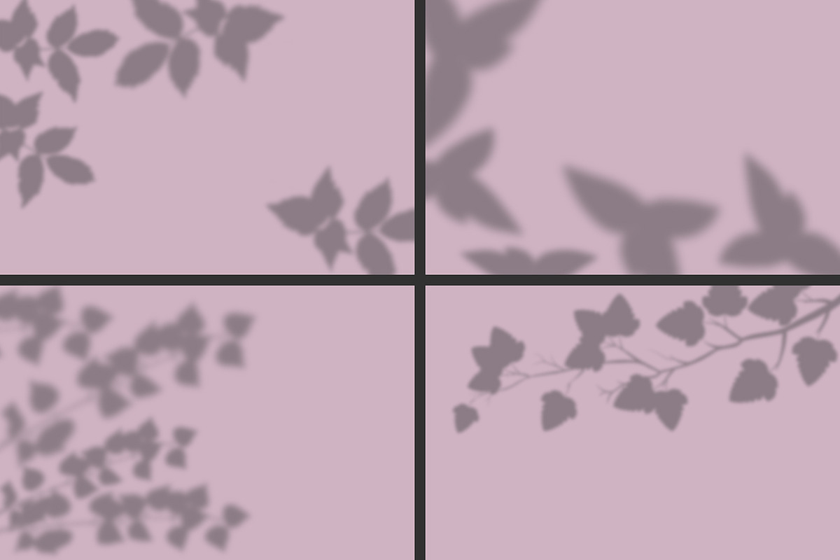 50 plants shadows, a Mockup by AnastasiyaOleynik (Photo 9 of 14)