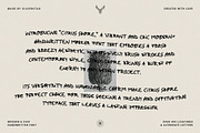 Citrus Shore - Playful Marker Font, a Handwritten Font by SilverStag Type Foundry (Thumbnail 13 of 15)