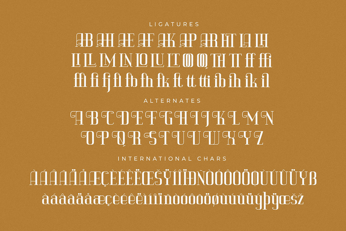 Vittorika Modern Serif Font, a Serif Font by Letterena Studios (Photo 14 of 15)