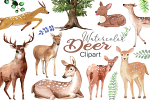 Beautiful Deer Clipart Set