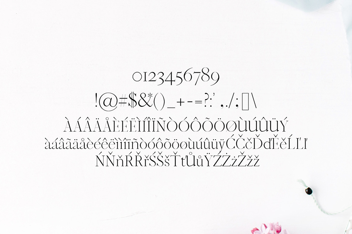 Jaavon Serif Font Family preview 3