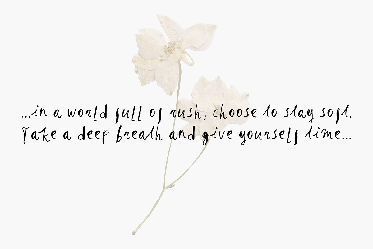 Ink & Clover. A Whimsical Font Duo, a Handwritten Font by PaperJamLab (Photo 11 of 18)