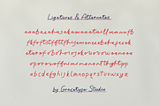 Looseform Pressure Script, a Script Font by gracetype_studio (Thumbnail 11 of 12)