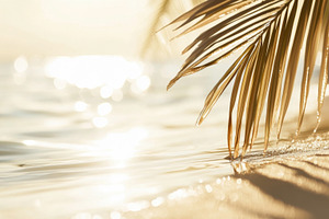 Blurred background of exotic ocean shores with palm leaves and g, a Photo by Dvoevnore photos