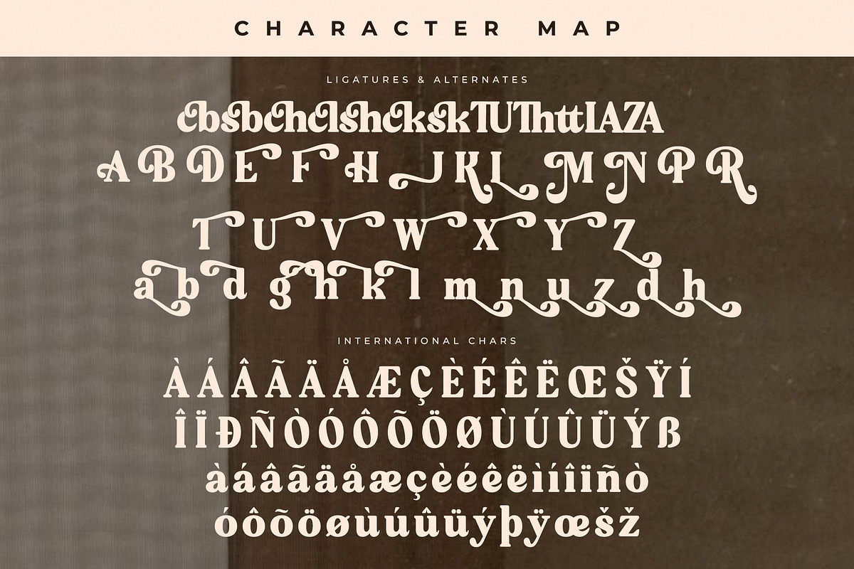 Bristle Radiant Modern Retro Stylish, a Serif Font by Letterena Studios (Photo 14 of 15)