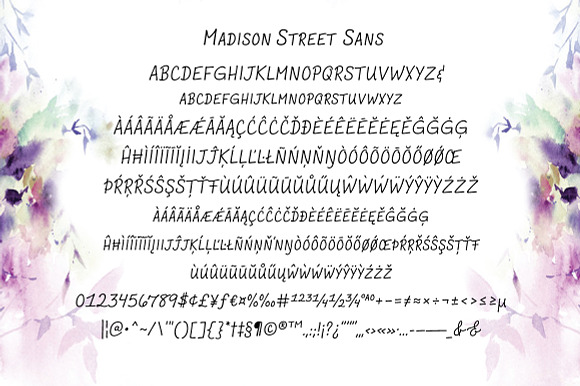 Madison Street Text Fonts preview 6