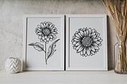Aster Line Art SVG, an Object Graphic by Dervik Art Store (Thumbnail 4 of 7)