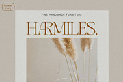 CHEVALIER Modern Luxury Typeface, a Serif Font by Comactype Foundry (Thumbnail 8 of 13)
